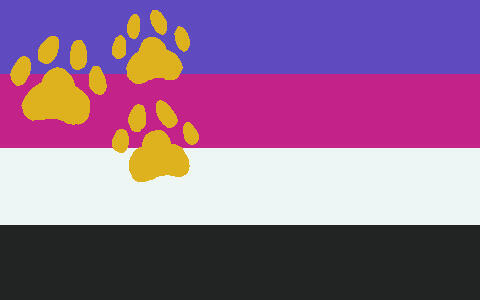 Old polycat flag